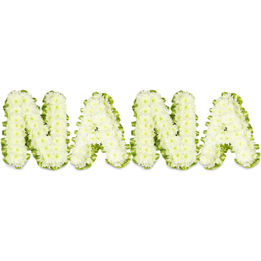 Chrysanthemums Nana Tribute